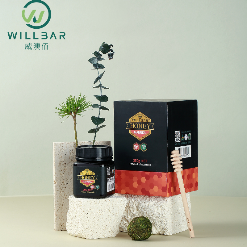 WILLBAR威澳佰麦卢卡蜂蜜（MGO100+）250g