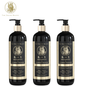 THE GRACE BEAUTY 6 in 1 Shampoo & Conditioner 500ml *3pcs